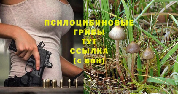 ALPHA-PVP Богородицк