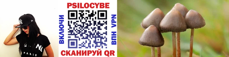 Псилоцибиновые грибы мухоморы  Крым 